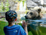 Eintrittskarten Tierpark Goldau